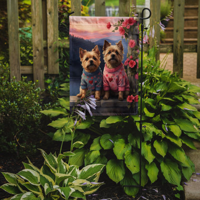 Double Sided 15.5'' H x 11.25'' W Polyester Valentine's Day Garden Flag