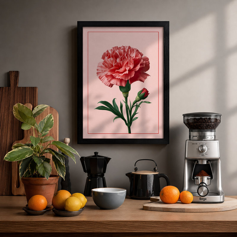 Pink Carnation Botanical - Framed Print, Black, A3 - 42.0 x 29.7 cm