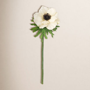 Anemone Stem (Set of 3)