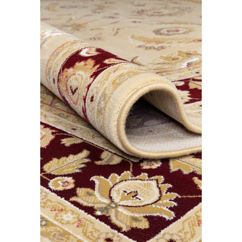 Haddam Oriental Area Rug, Rectangle 240 x 330cm
