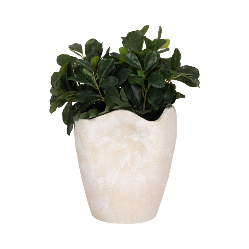 Vase en terre cuite de 12 po Melanie, H 10 po x l 8 po x P 8 po