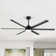 Chalmas Large Matte Black Indoor/Covered Outdoor Ceiling Fan with Light and Remote, 6 Aluminum Blades, 6-Speed Quiet DC Motor, LED Tri-Colour Temperature, Memory Function, Timer, 6''/12'' Downrods