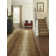Imagine Nature's Expression Chital Zephyr Area Rug