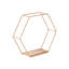 Gardner 5 Piece Hexagon Floating Shelf-11111908