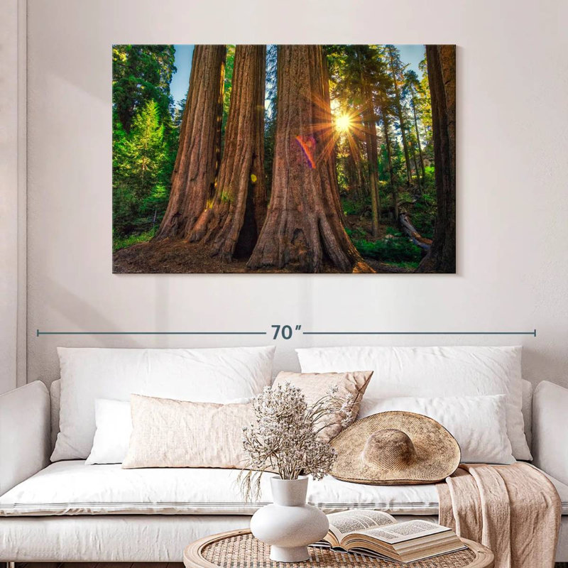 Forêt Harnek Grant Grove, H 32 po x l 48 po