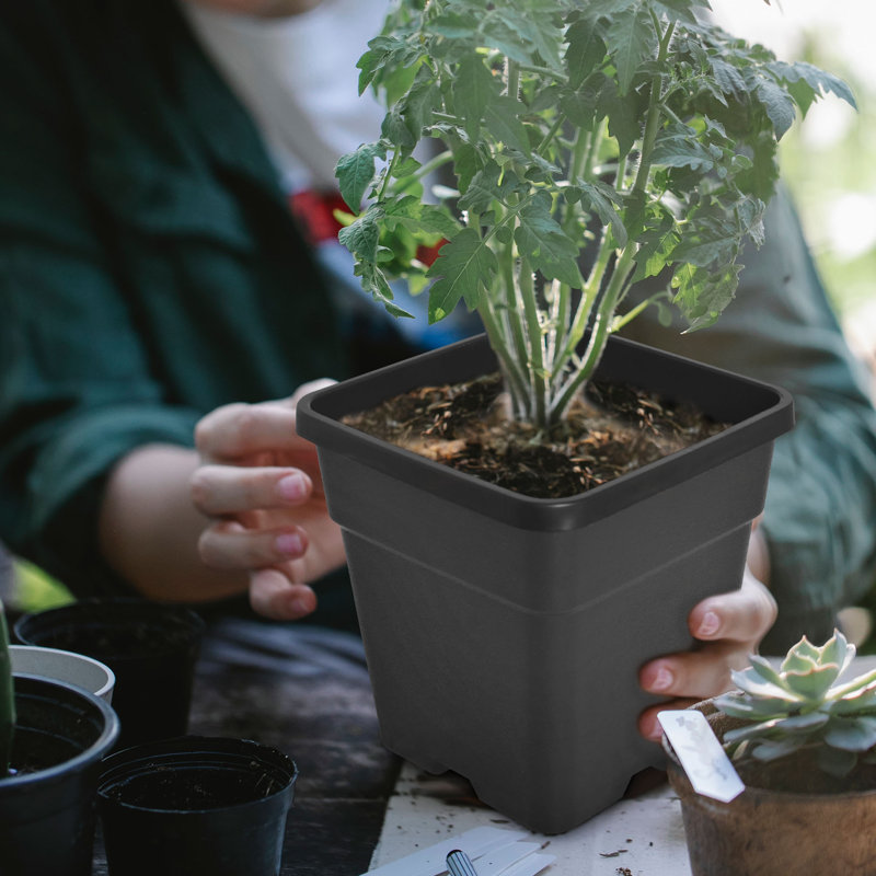 10pcs 3-Gallon Square Plastic Flower Pots Suitable For Indoor And Outdoor Flower Planting, Reusable, Essential Tool For Gardening Enthusiasts
