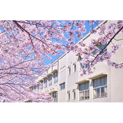 Spring In Japan by 7maru - Wrapped Canvas Print