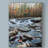 " Porters Creek II " by Danny Head-33425741