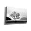 «Arbre à pique-nique» par PhotoINC Studio-1591819228