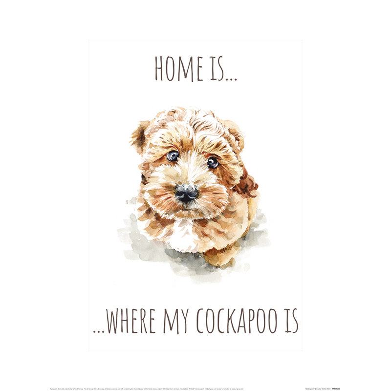 Cockapoo by Louise Nisbet - No Frame Painting