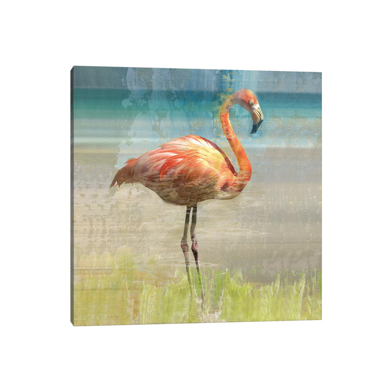 Flamingo Fancy I by Nan - Wrapped Canvas Print, 30.48 cm H x 30.48 cm W