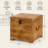 Reclaimed solid wood trunk with iron handles and latch