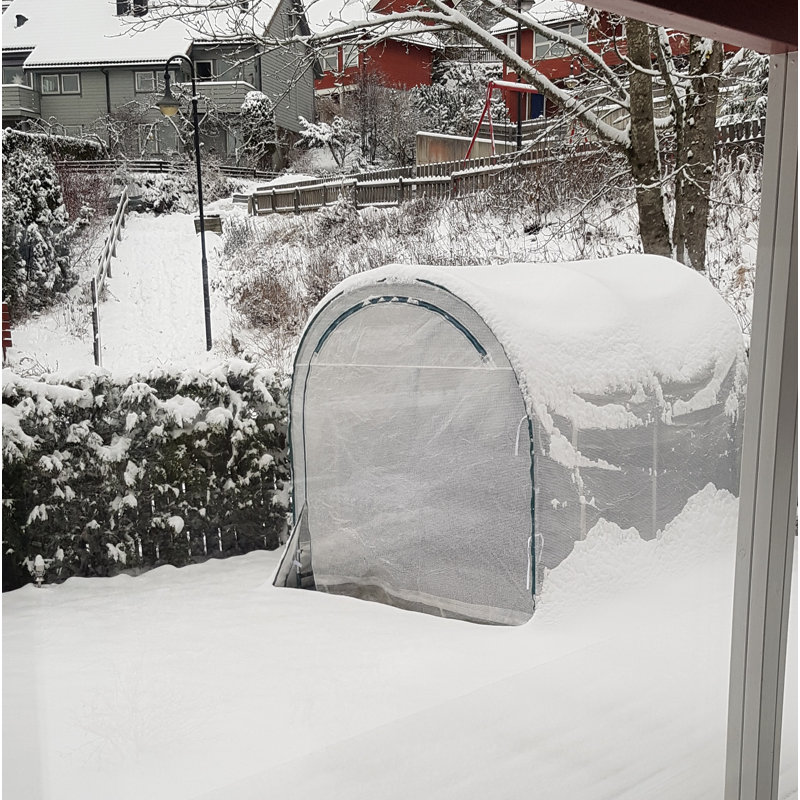 6' x 8' Clear Polyethylene Walk-In Greenhouse with Steel Frame