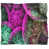 Rose / vert est en rupture de stock