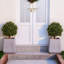 Arbre sphérique artificiel Ashwell Osmanthus -527098358-527098360