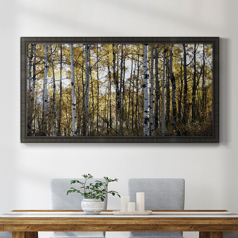 Williamstown Sunny Grove - Reproduction de photo sur toile simple, H 25 po x l 45 po x P 2,5 po
