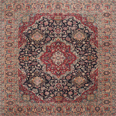 Jamie-Lee Oriental Indoor Rug