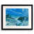 Black Framed Paper selected