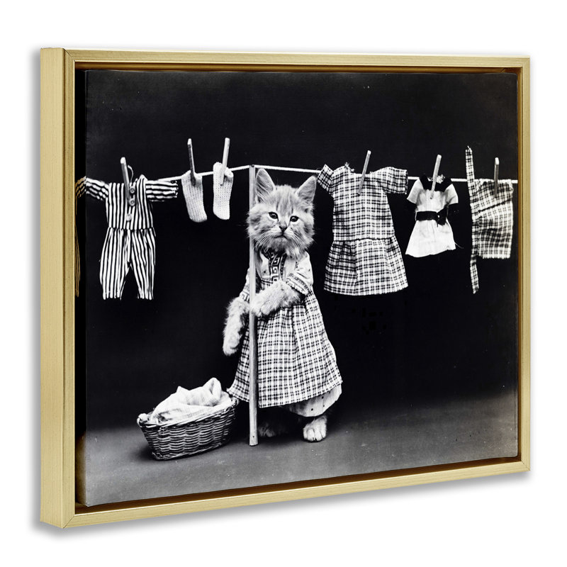 " Kitten Does The Laundry " by Daphne Polselli, Metallic Gold Floater Frame, 17" H x 21" W