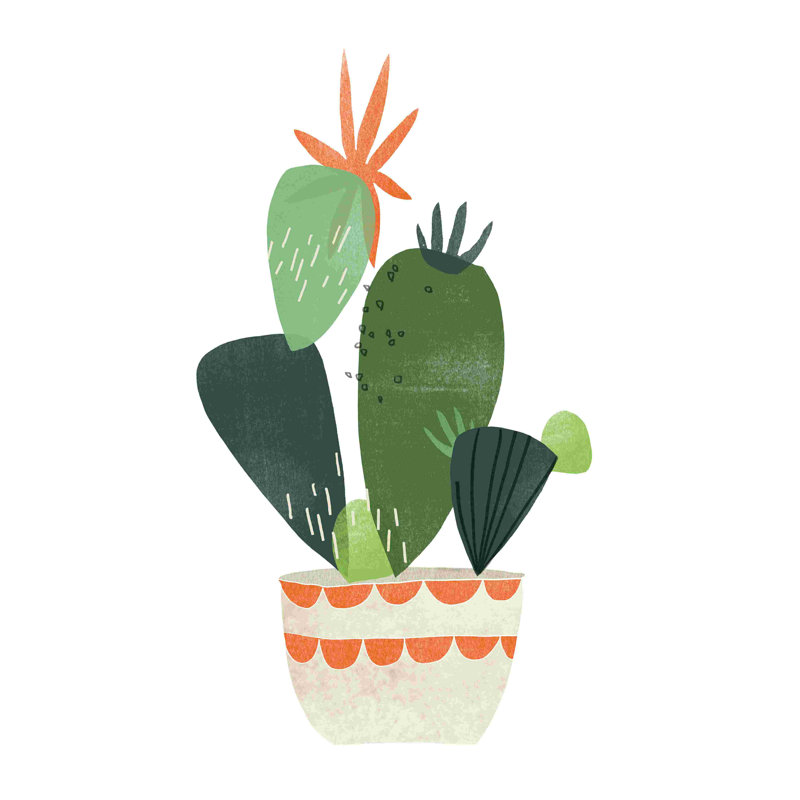 Happy Plants IV, H 18 po x l 12 po