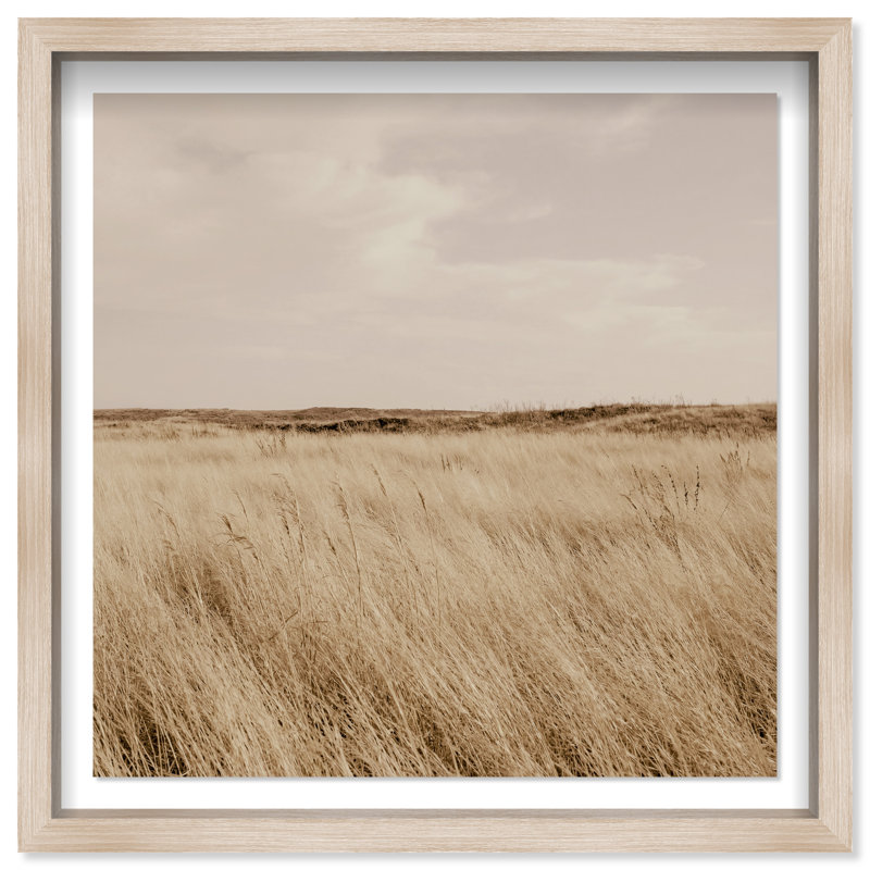Golden Nature Print by Oliver Gal, 17.5" H x 17.5" W, Natural Oak Shadowbox