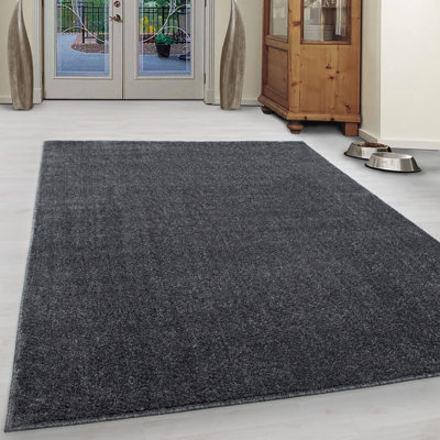 Baer Solid Colour Shag Area Rug