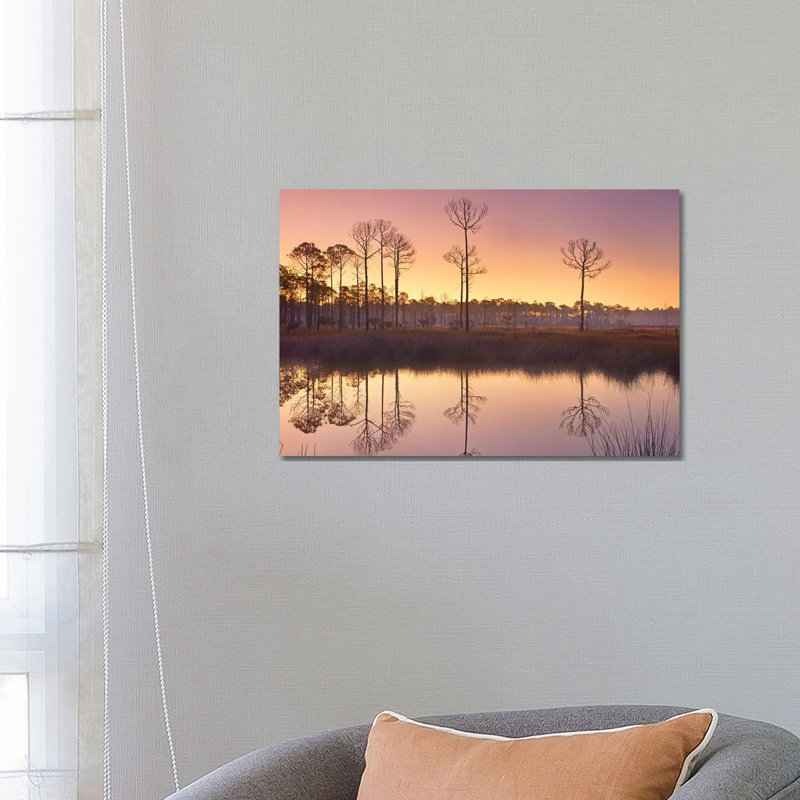 Pineland At Piney Point Near Hagen's Cove, Florida 1 Piece Wall Art on Canvas, 66.04 cm H x 45.72 cm W x 3.175 cm D