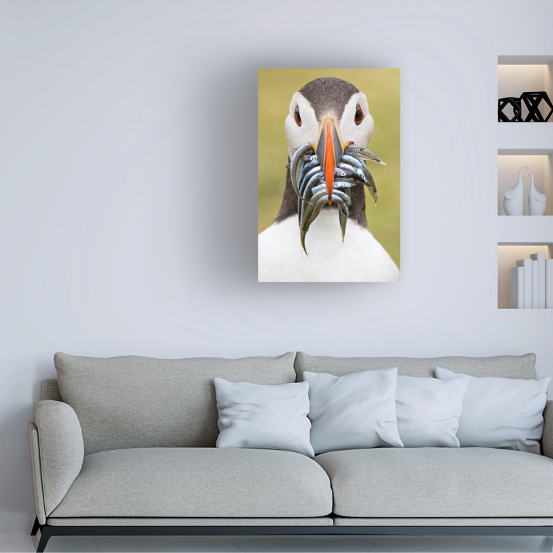 Art sur toile «Bachelo Mario Suarez Seize Sandeels», H 19 po x l 12 po
