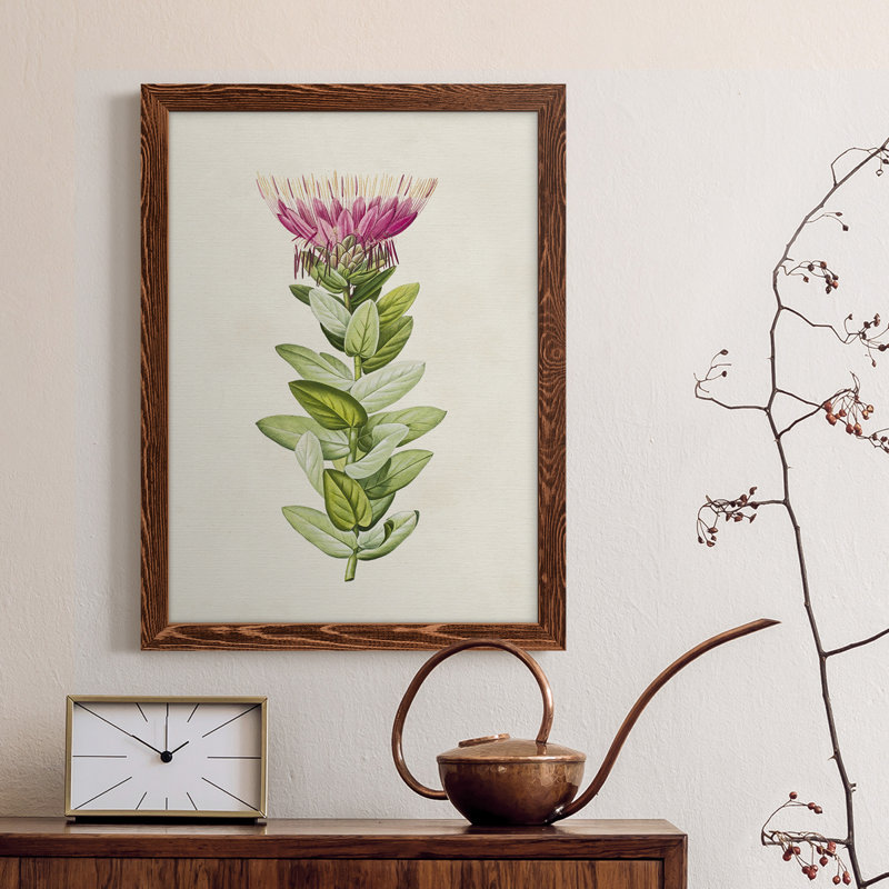«Pretty Pink Botanicals IV» - reproduction, Érable encadré, H 23 po x l 32 po x P 1 po