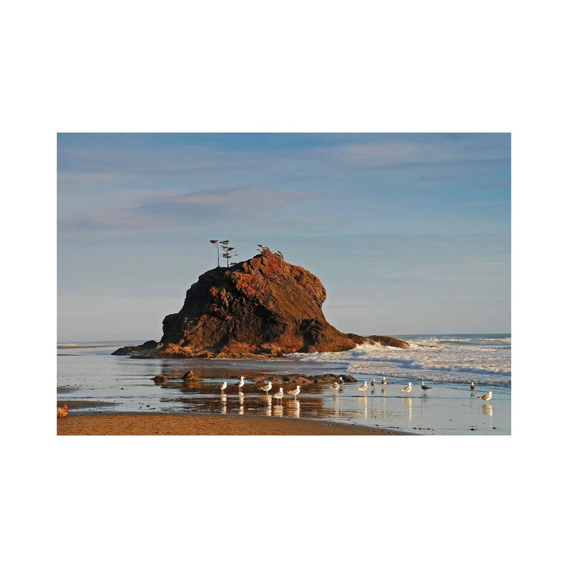 Sea Stack And Gulls by Brian Wolf - Wrapped Canvas Print