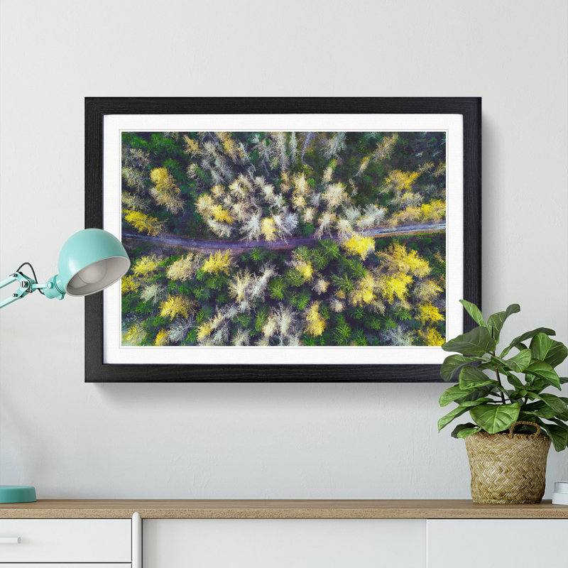 Yellow Forest in Austria - Picture Frame Painting Print, Black Framed, 36cm H x 48cm W x 2cm D