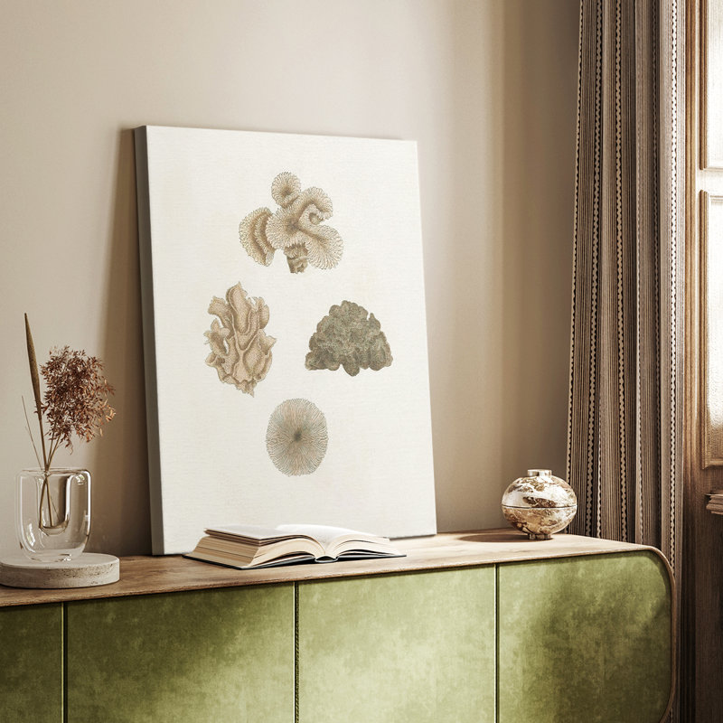 Coquillages Knorr et corail - galerie Cavas sur mesure, H 60 po x l 40 po