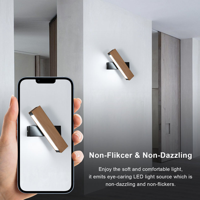 Dall LED Flush Mounted Sconce