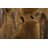 Teak Root Side Table