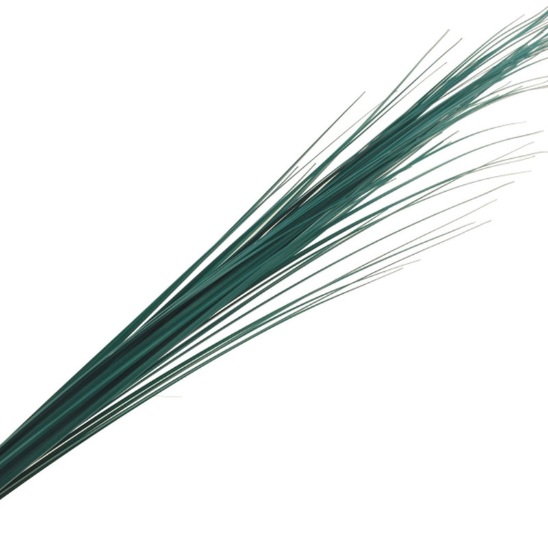 114cm Onion Grass Grass, Green