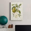 Vintage Pears II - impression sur toile tendue-1313909349