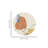 41 Washable Non-Slip Round Rug