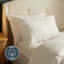 Silentnight Brushed Cotton Pillowcase Pair-119352942