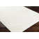 Catosha Machine Woven Polyester Area Rug in Ivory