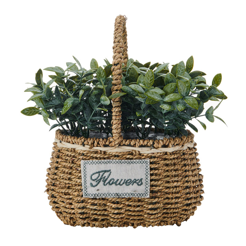 Elements 10" Artificial Seagrass in Basket