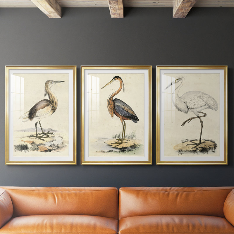 Antique Heron I - reproduction sur mesure encadrée de qualité supérieure - 3 pièces, H 30 po x l 63 po