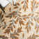 Gordon Performance Floral Rug