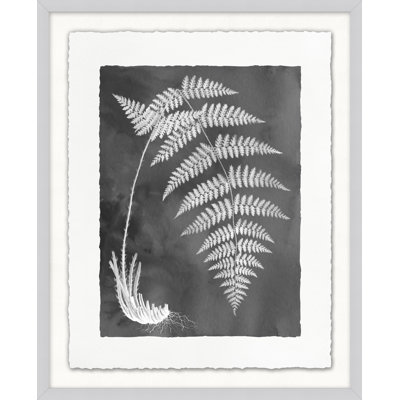 Fernspiration Gray, reproduction d'art graphique encadrée de 8 pi sur verre