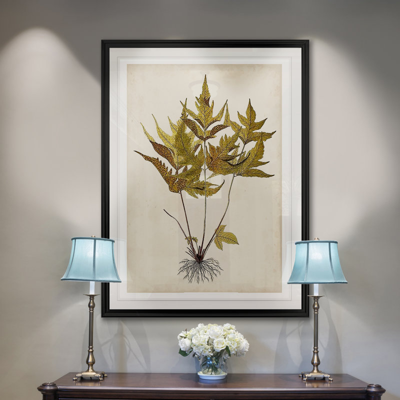 Fern Botanical II - reproduction sur toile, H 18,5 po x l 24,5 po x P 1,5 po, Cadre noir