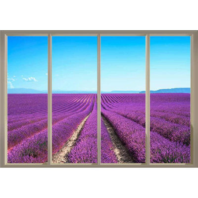 Champ couvert de rangées de fleurs mauves