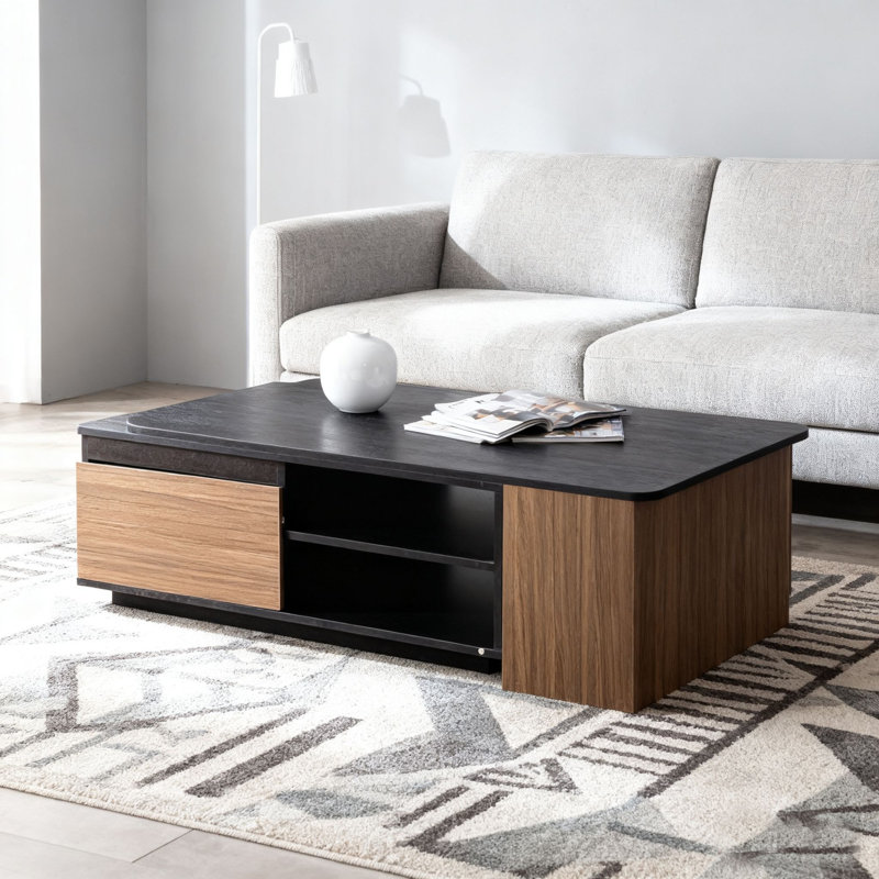 Table basse moderne noire et brune avec compartiments de rangement