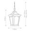 Aadrith Outdoor Hanging Lantern