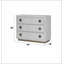 Console Anpu