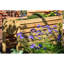 Aakas Wood Raised Garden Bed