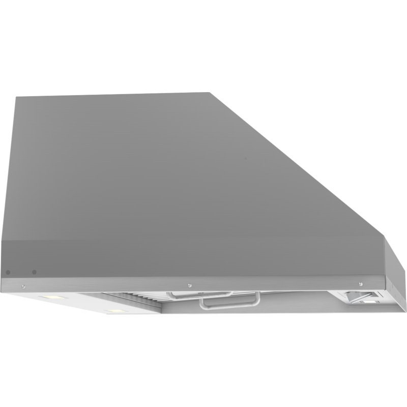 48" Spruce Outdoor 1200 CFM Ducted Insert Range Hood in Stainless Steel, 60"